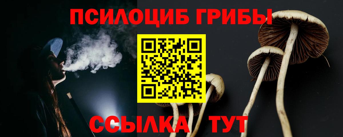 Кудымкар  Псилоцибиновые грибы Cubensis  Псилоцибиновые грибы Psilocybe  Вход с VPN 